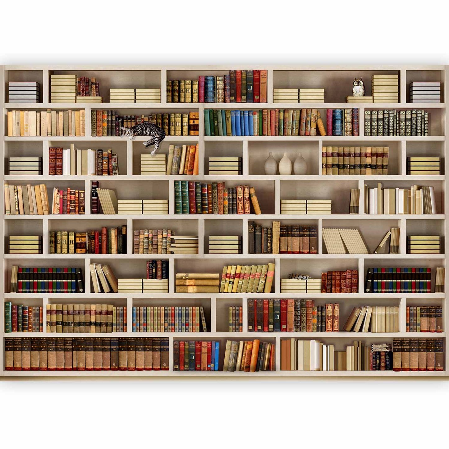 Wall Mural - Home library