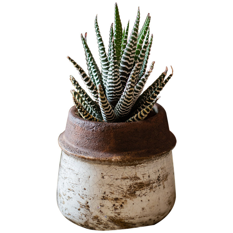 Vases faits à la main