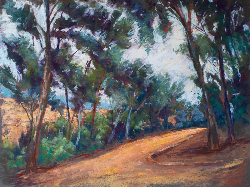 Camino de Collserola 2, Barcelona
