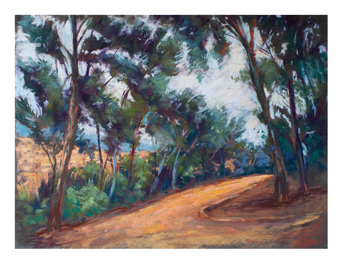 Camino de Collserola 2, Barcelona