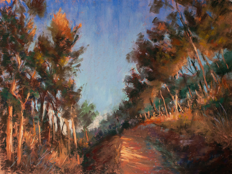 Camino de Collserola, Barcelone