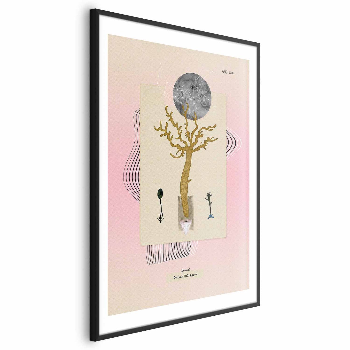 Poster - Unusual Plant