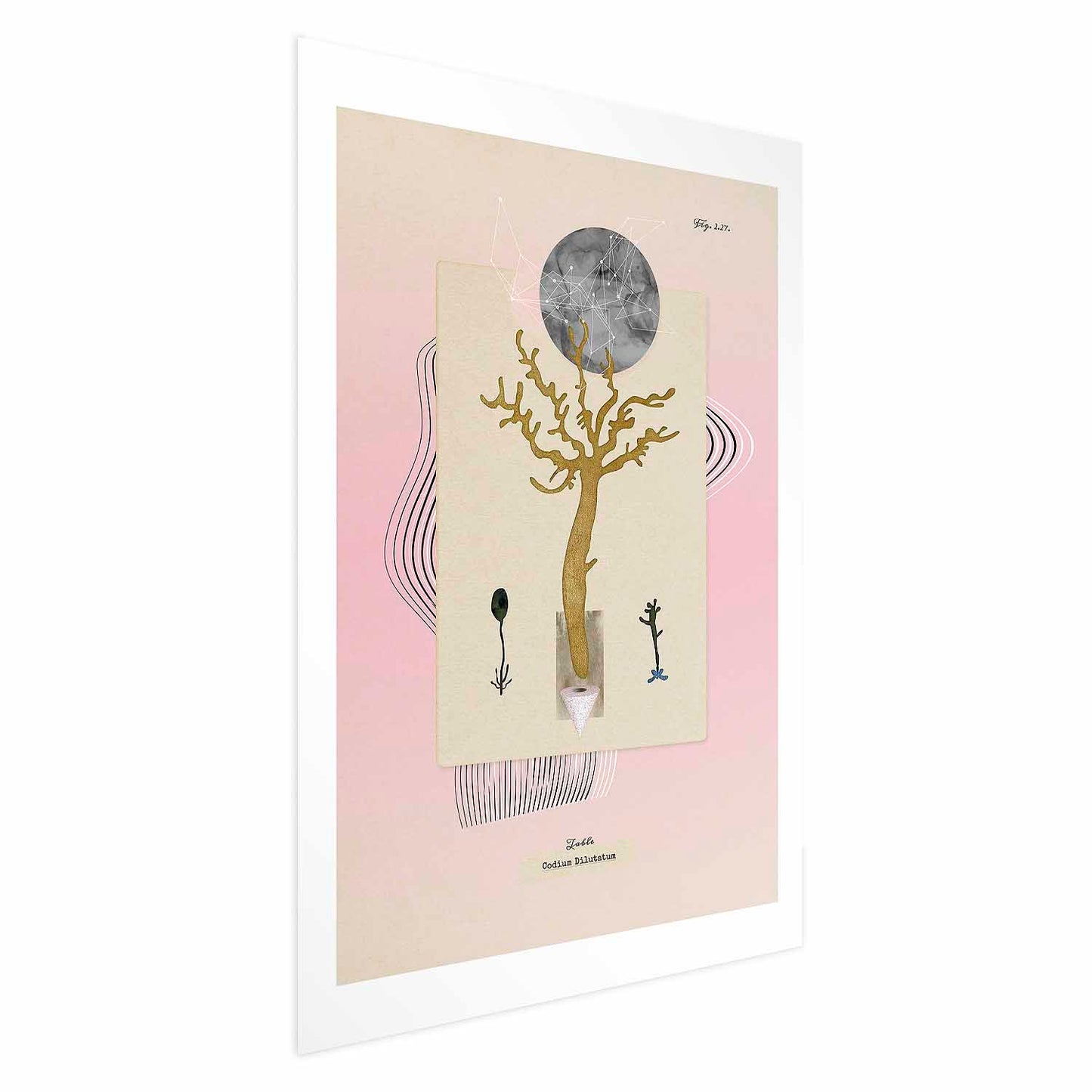 Poster - Unusual Plant