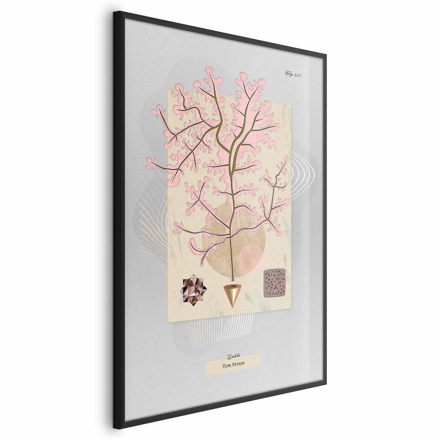 Póster - Árbol misterioso