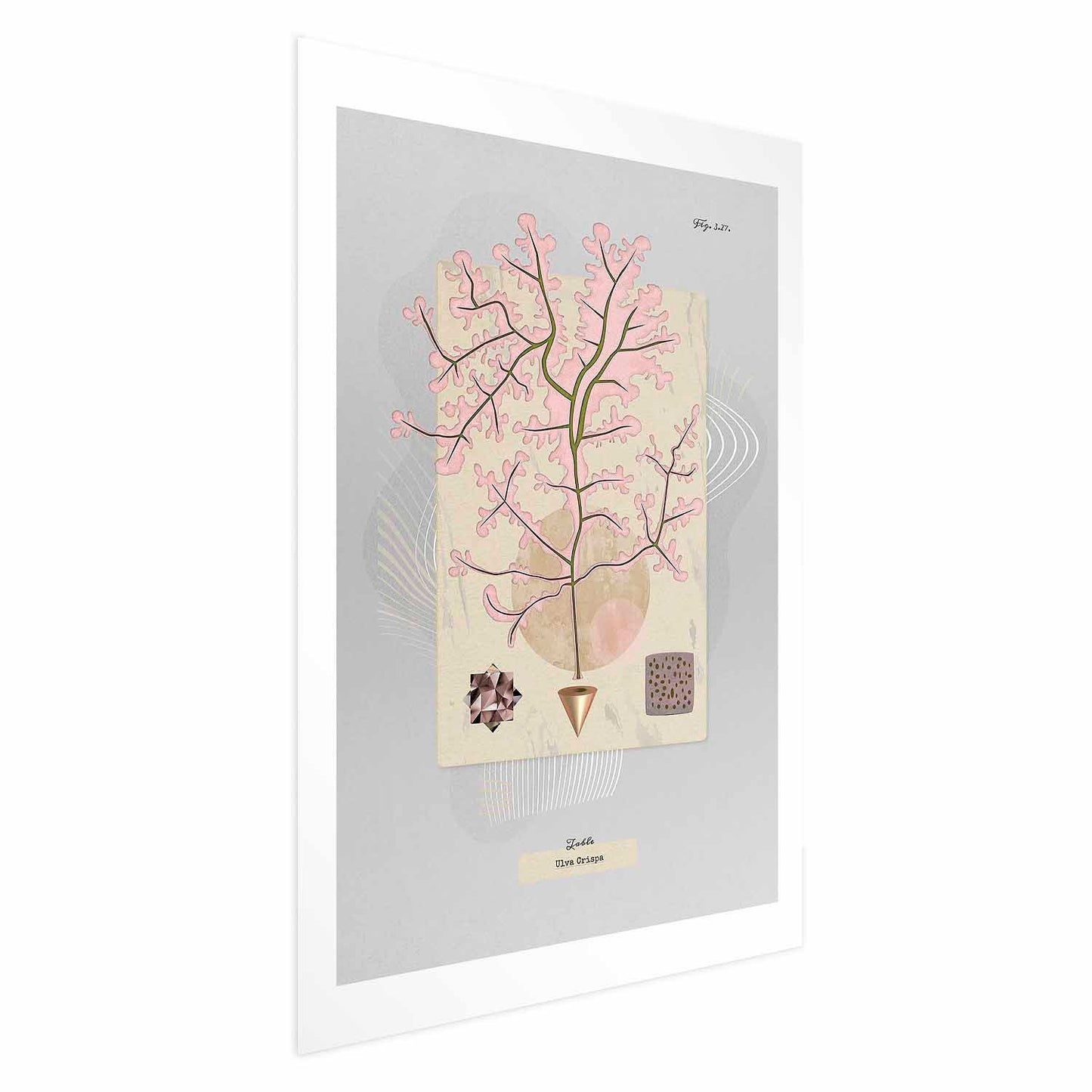 Póster - Árbol misterioso