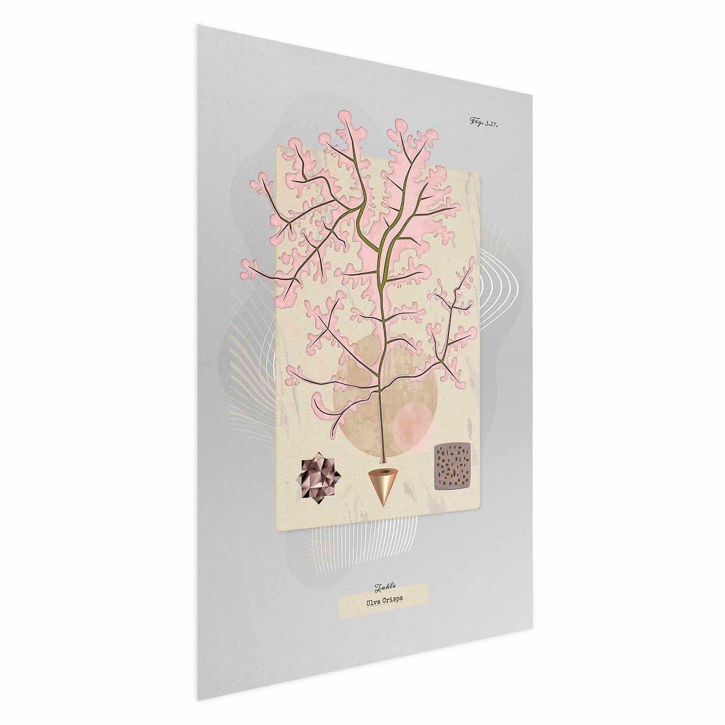 Póster - Árbol misterioso