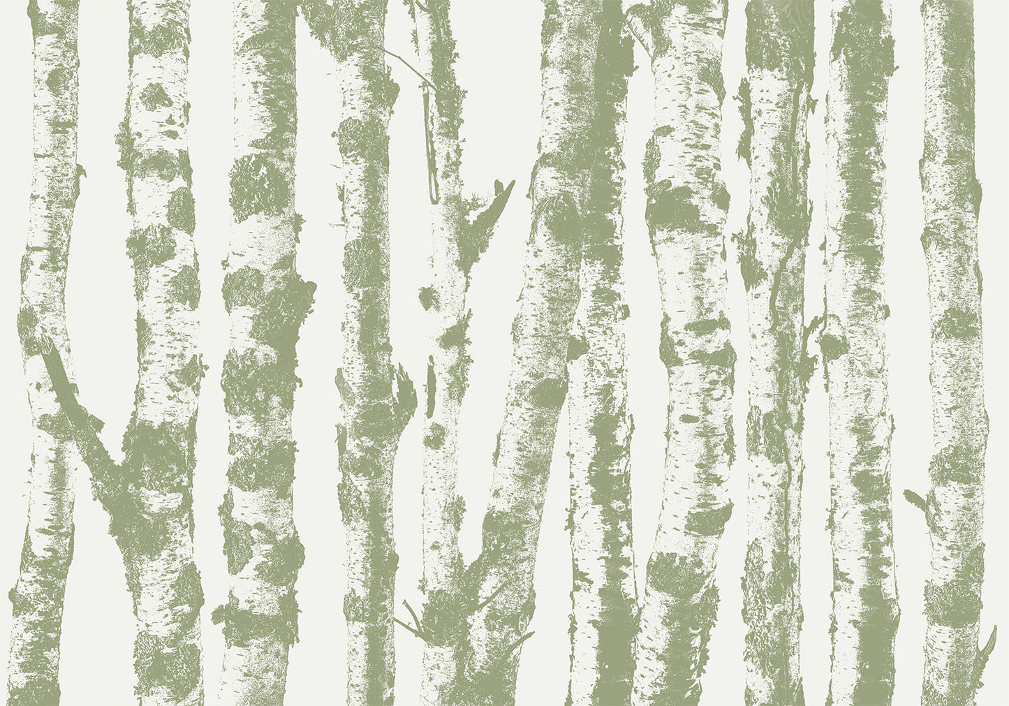Wall Mural - Stately Birches - Third Variant