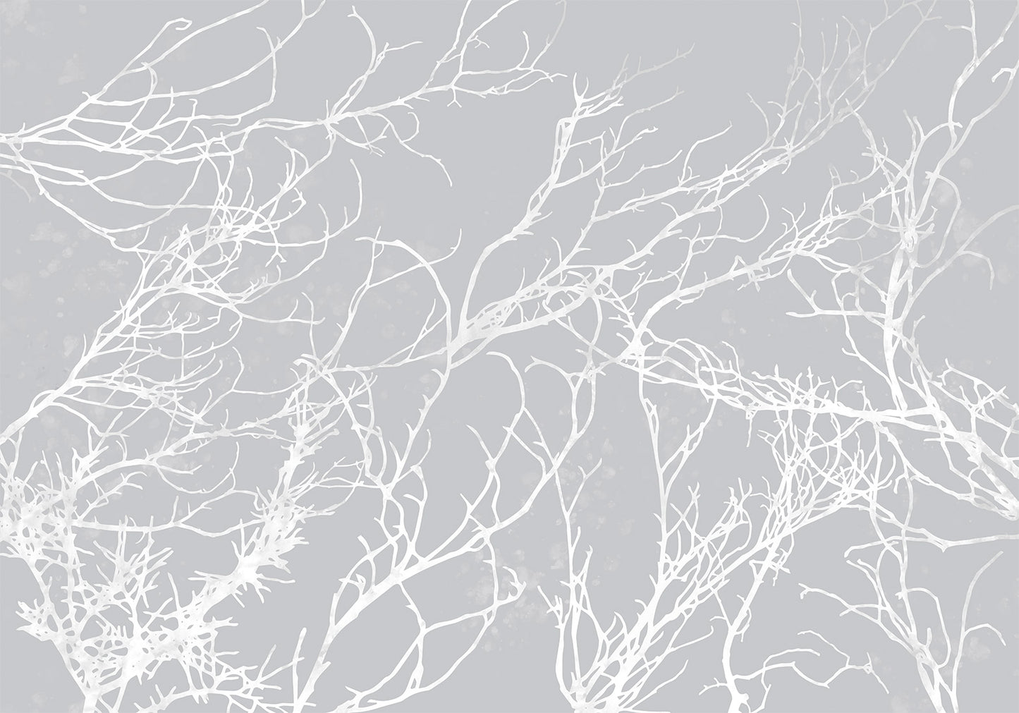 Wall Mural - White Trees