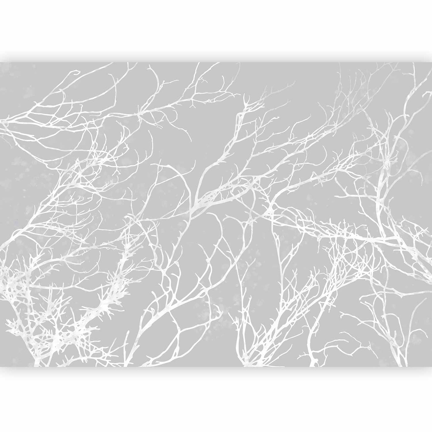 Wall Mural - White Trees