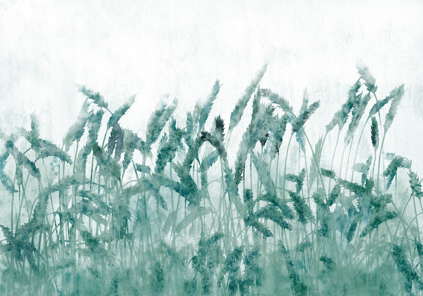 Wall Mural - Blue Ears of Wheat