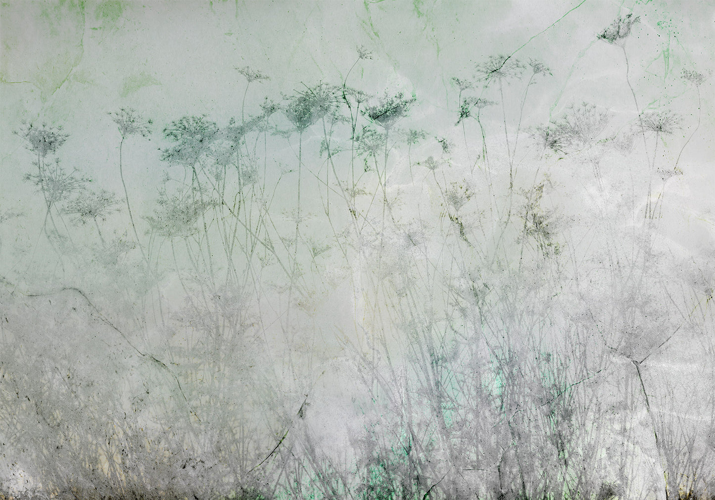 Wall Mural - Indian Summer - First Variant