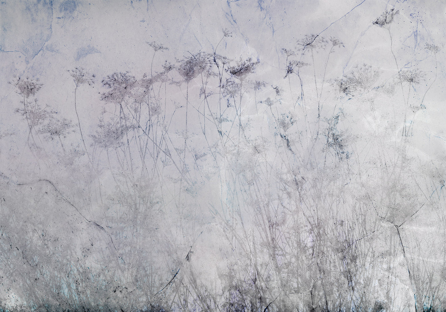 Wall Mural - Indian Summer - Second Variant