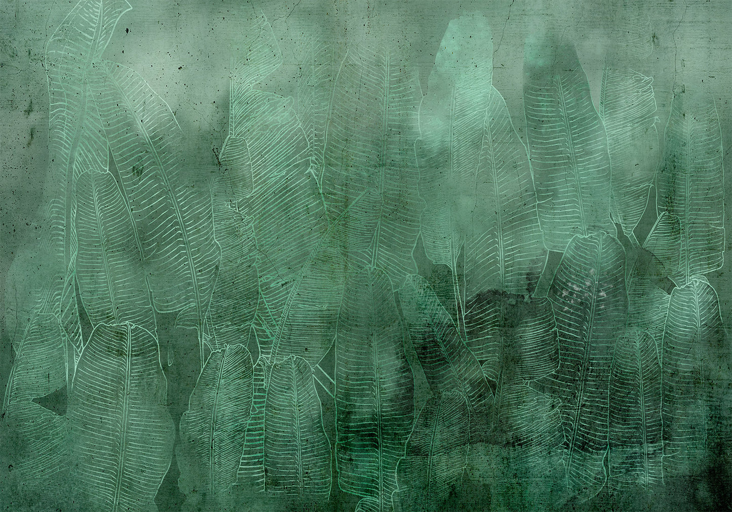 Wall Mural - Green Banana Leaves