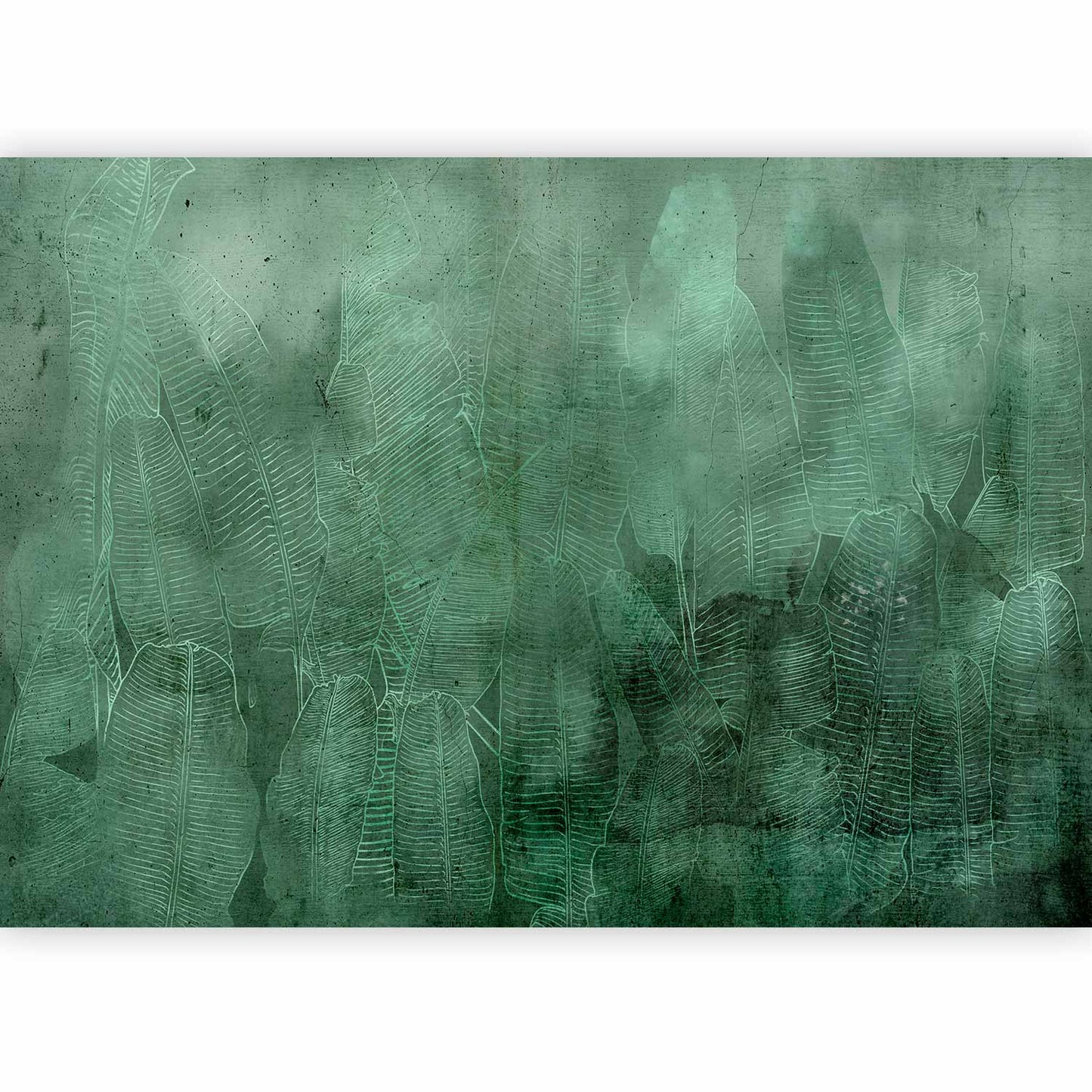Wall Mural - Green Banana Leaves