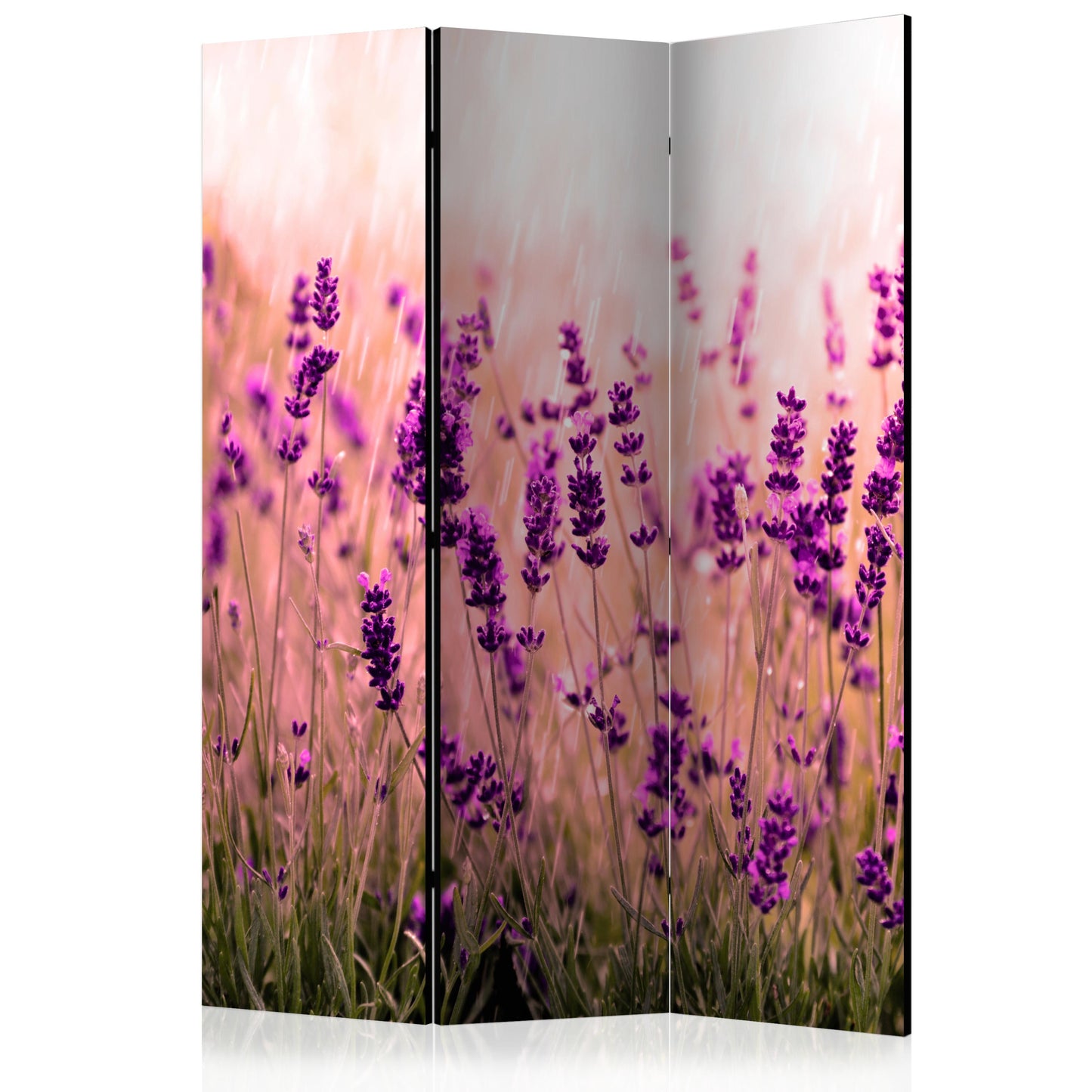 Biombo - Lavanda bajo la lluvia