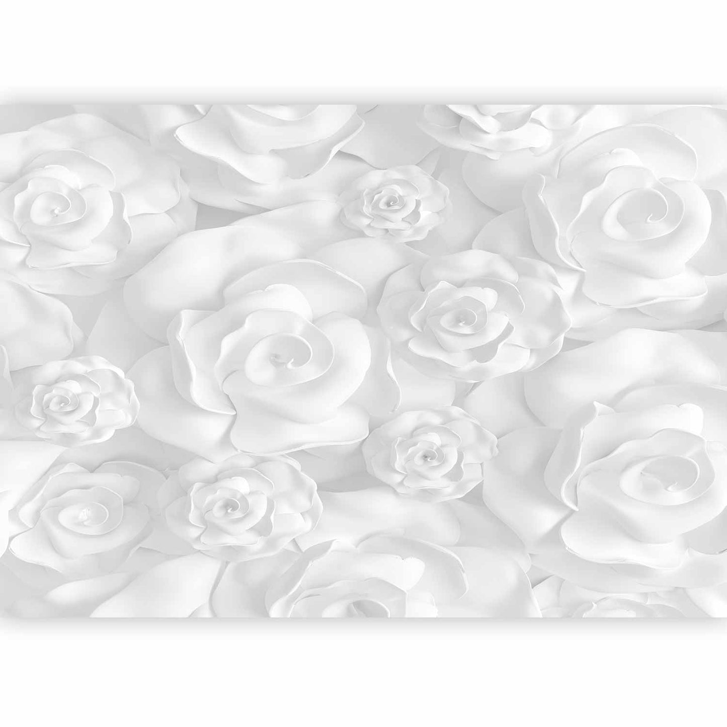 Wall Mural - Plaster Flowers