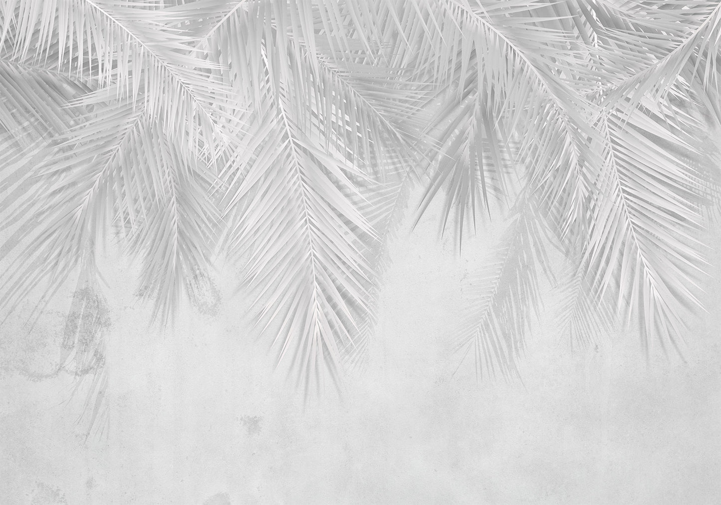Wall Mural - Monotony of Calm