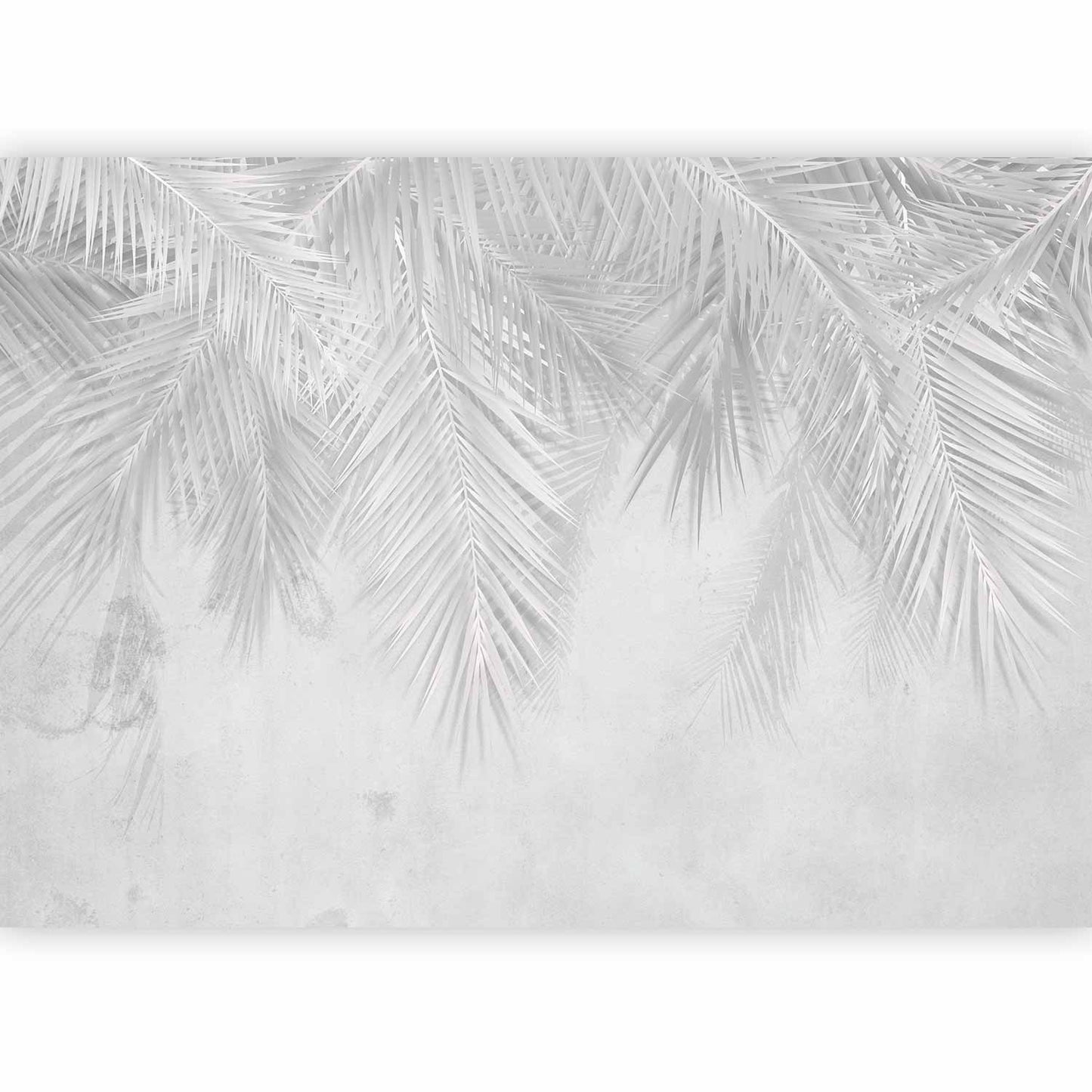 Wall Mural - Monotony of Calm