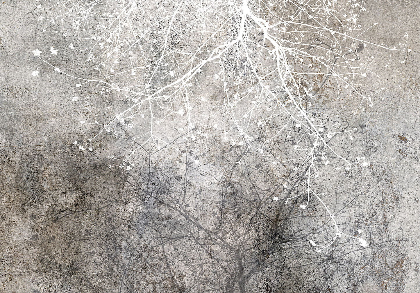 Wall Mural - Clear Branching
