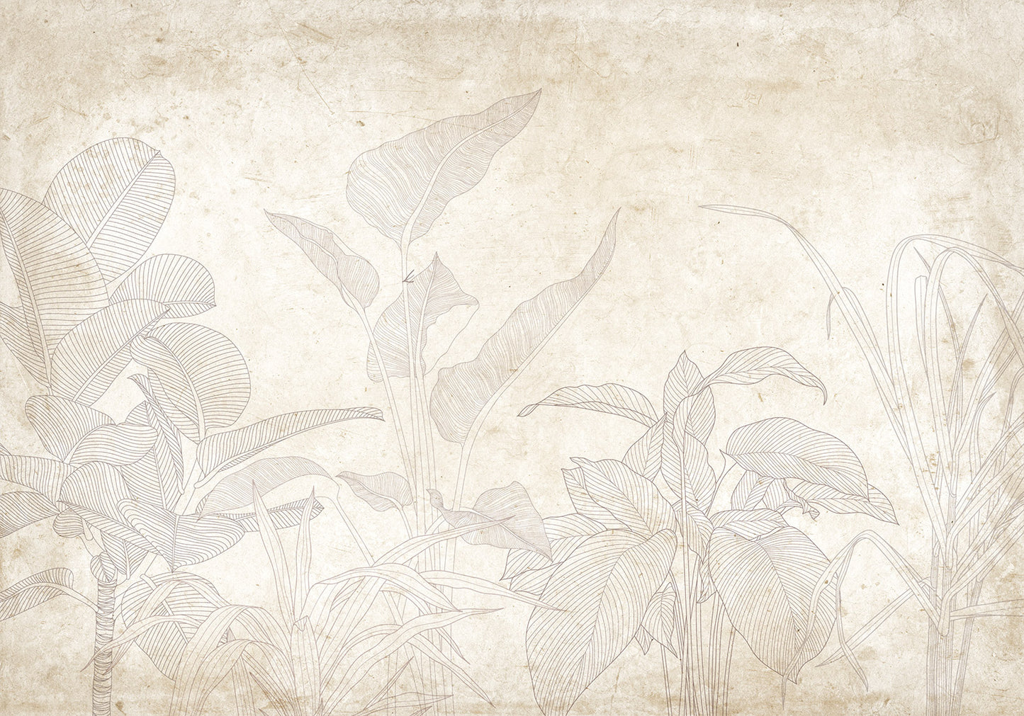 Wall Mural - Subtle Exotic Plants