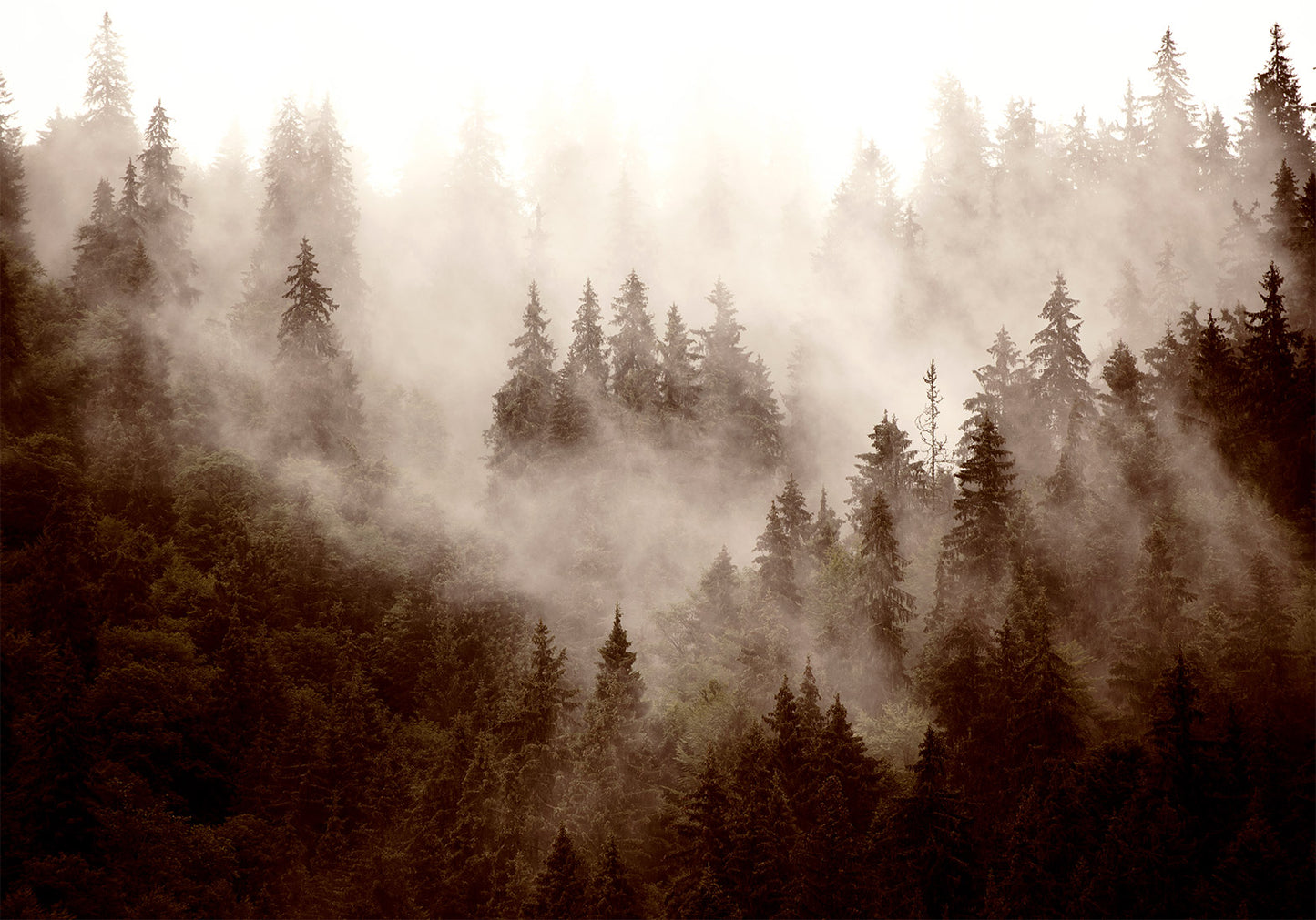 Wall Mural - Mountain Forest (Sepia)