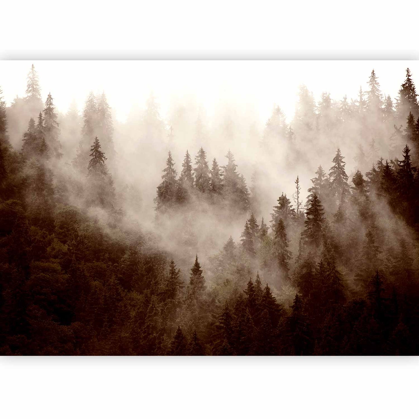 Wall Mural - Mountain Forest (Sepia)