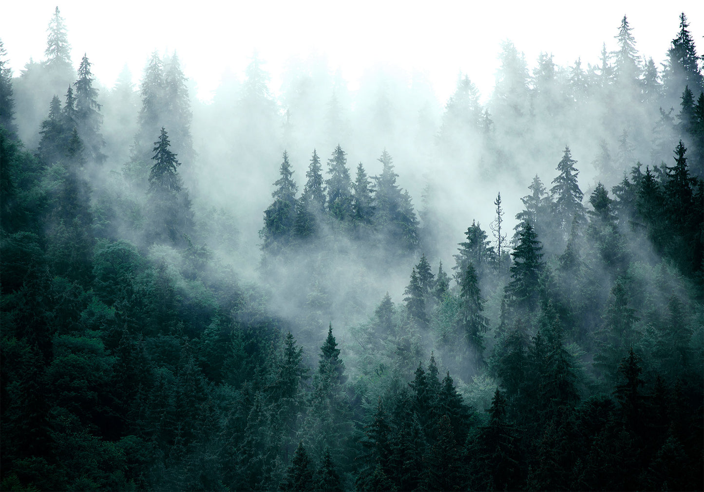 Wall Mural - Mountain Forest (Dark Green)