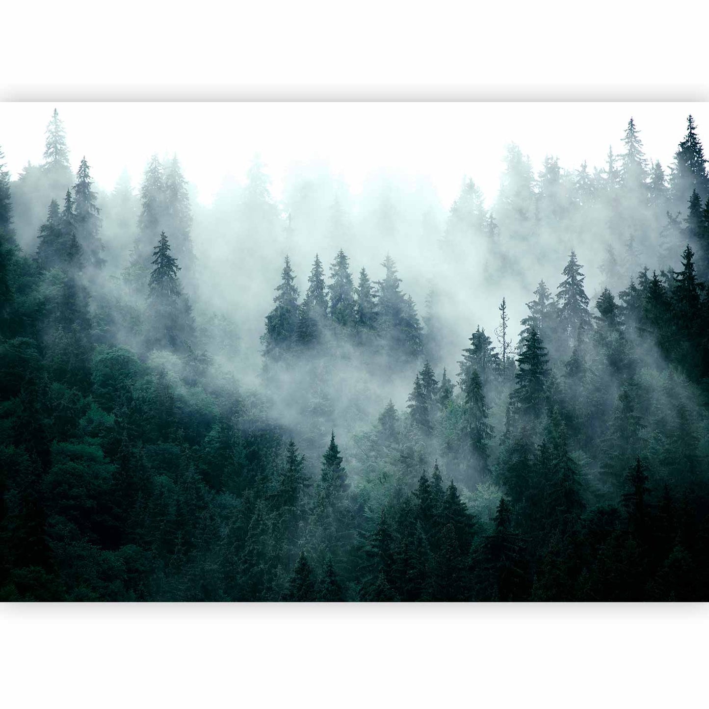 Wall Mural - Mountain Forest (Dark Green)