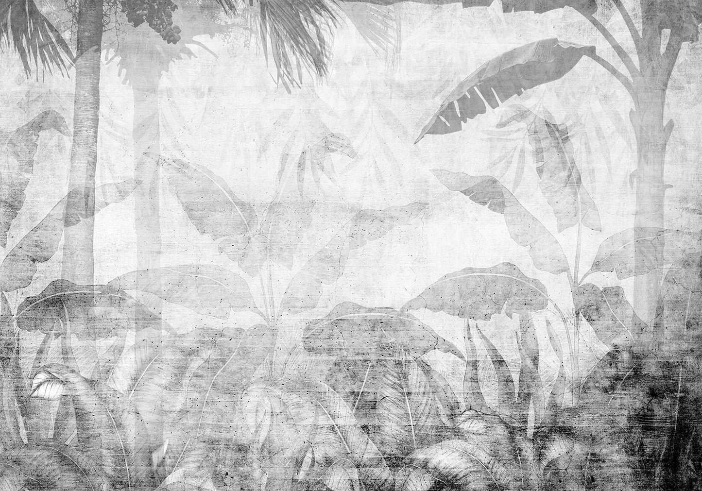 Wall Mural - Vanishing jungle - landscape of exotic trees and leaves in grey tones