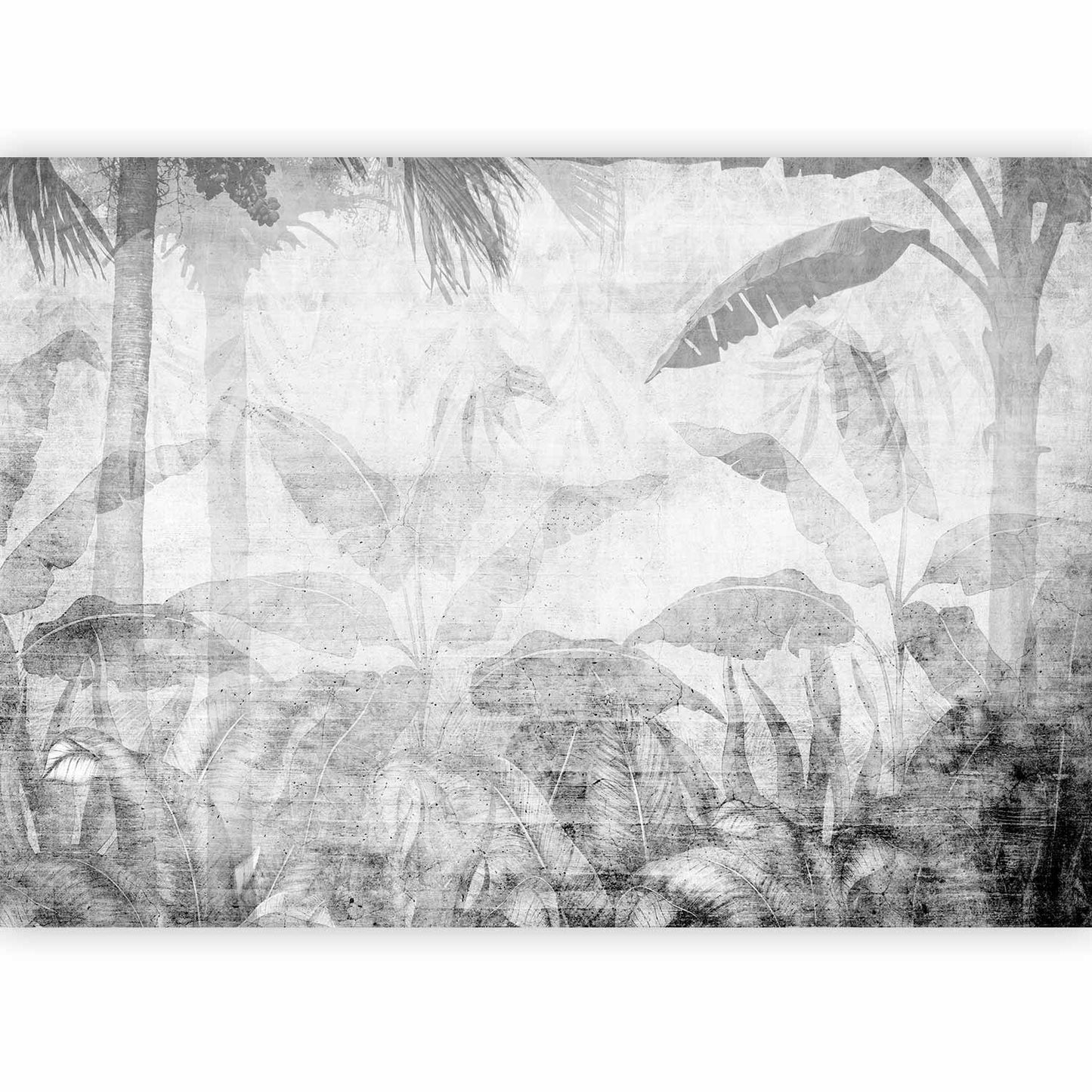 Wall Mural - Vanishing jungle - landscape of exotic trees and leaves in grey tones