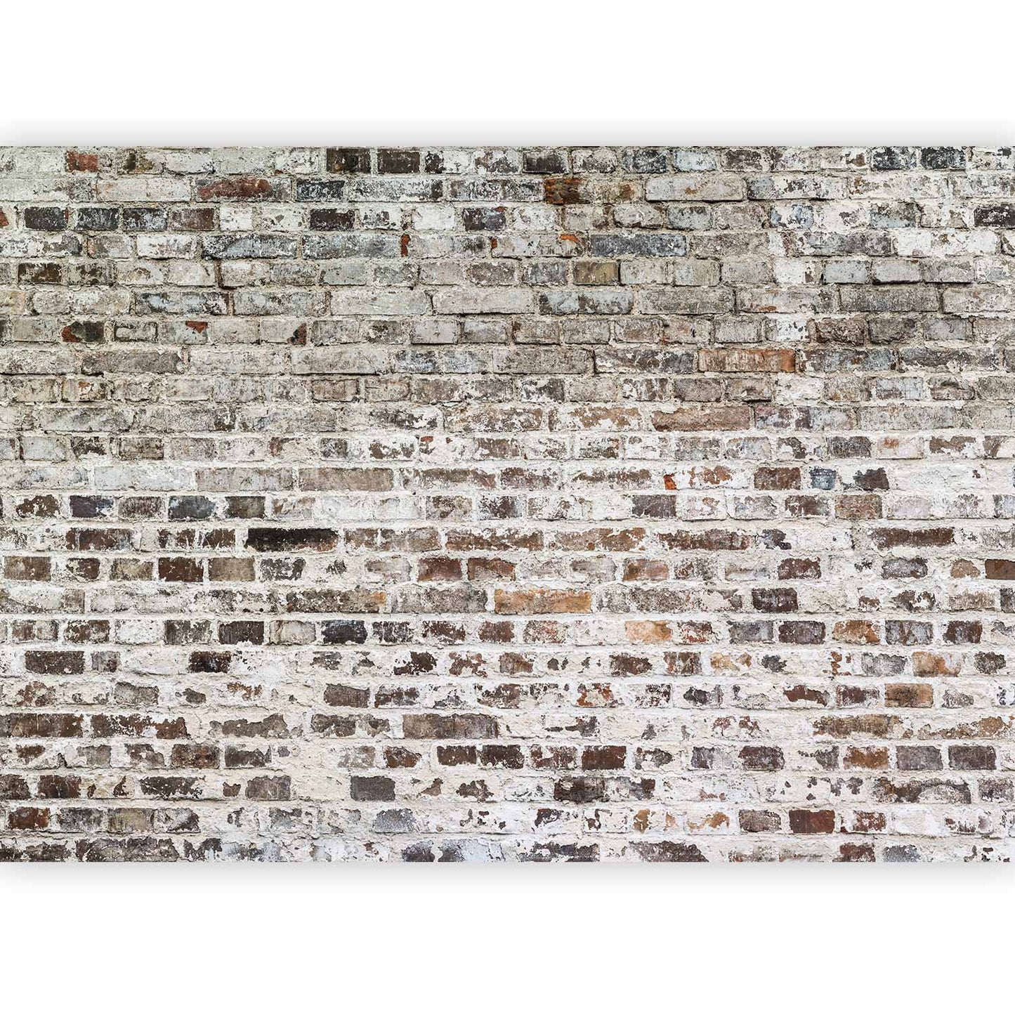 Wall Mural - Old Walls
