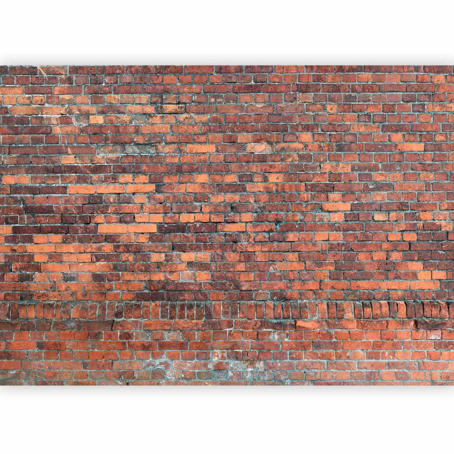Wall Mural - Vintage Wall (Red Brick)