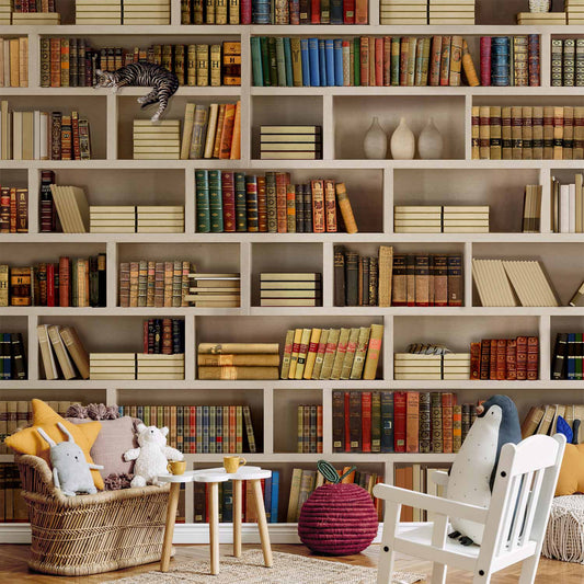 Wall Mural - Home library