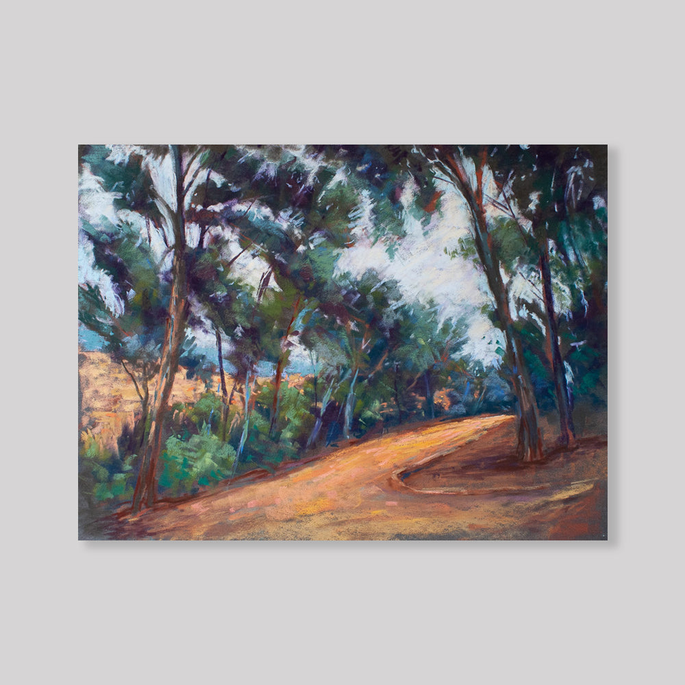 Camino de Collserola 2, Barcelona