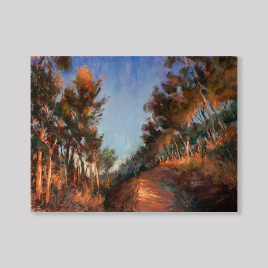 Camino de Collserola, Barcelone 