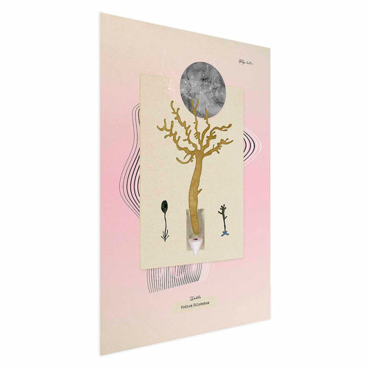 Poster - Unusual Plant