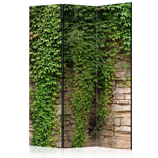 Room Divider - Ivy wall