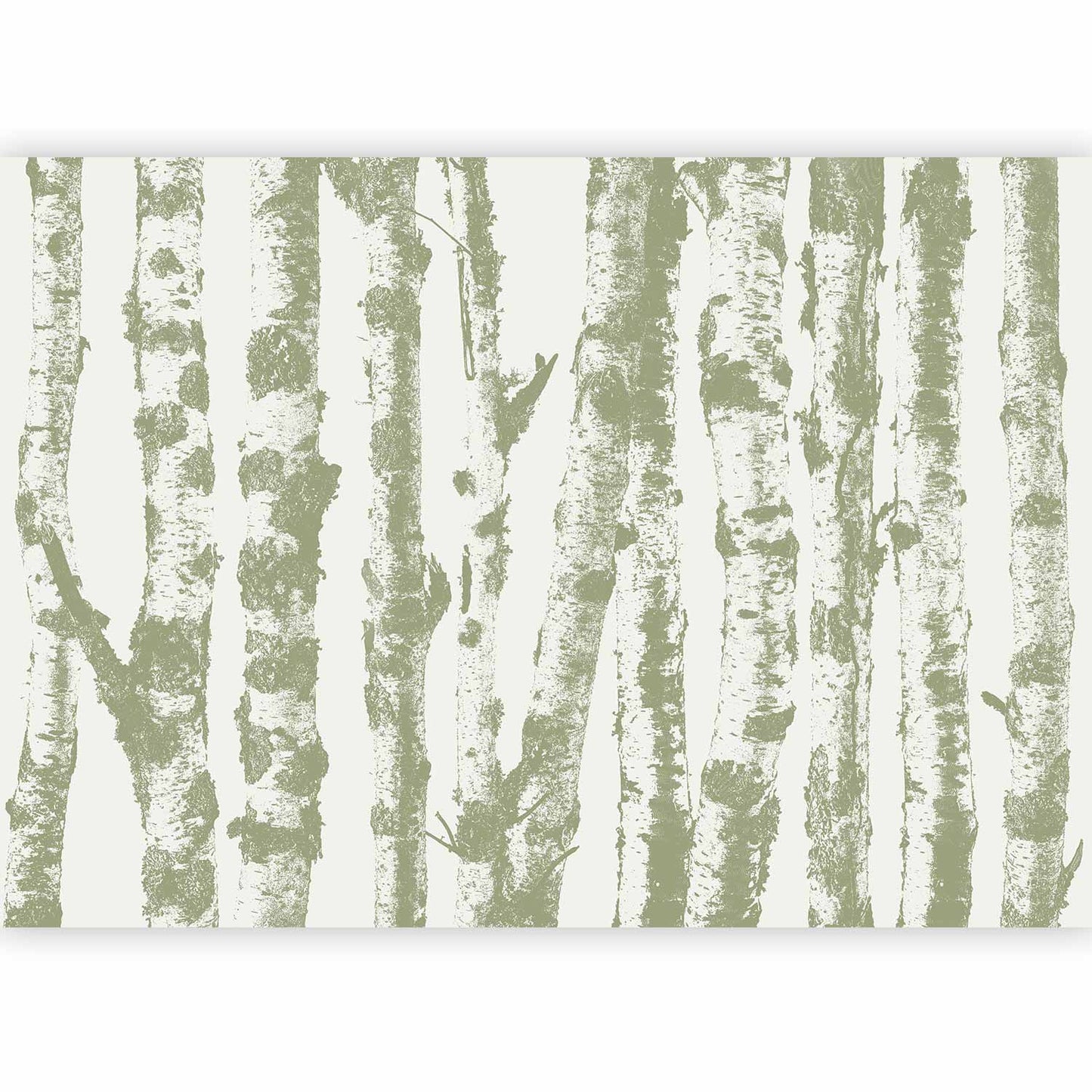 Wall Mural - Stately Birches - Third Variant