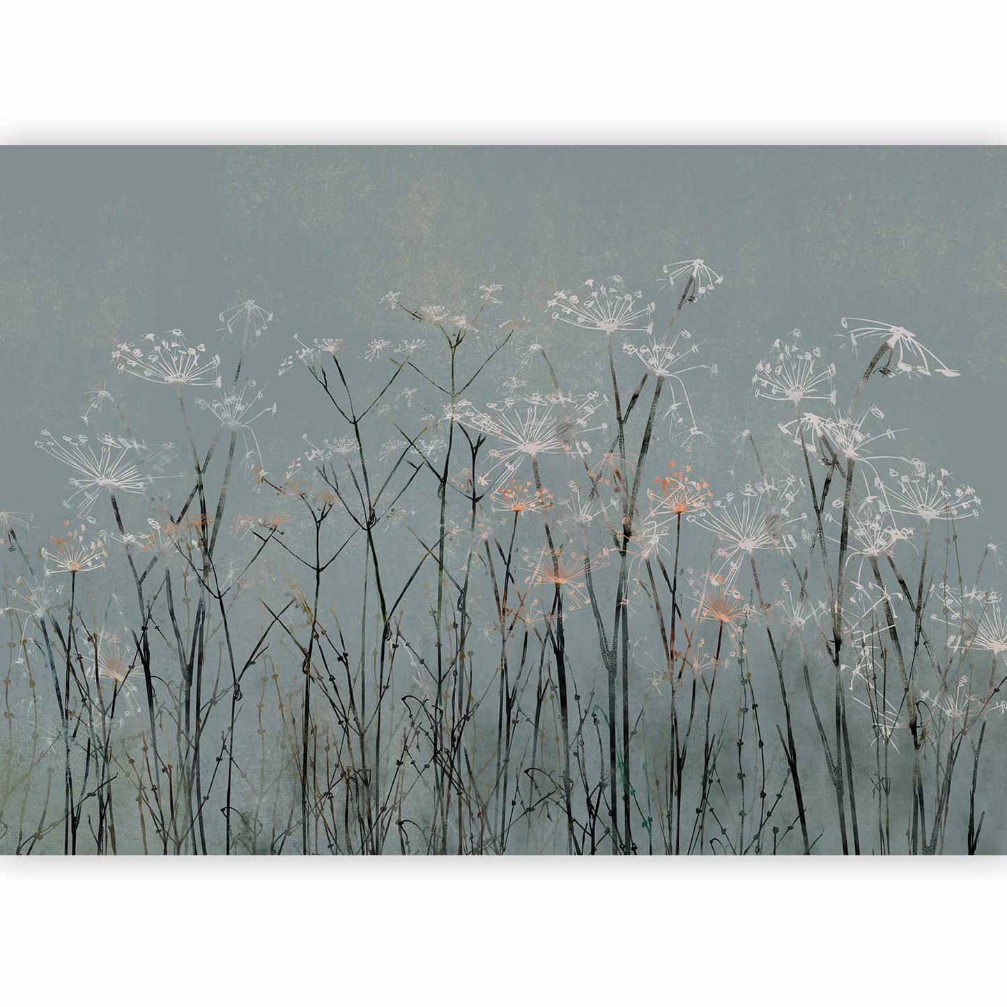 Wall Mural - Garlic Flowers