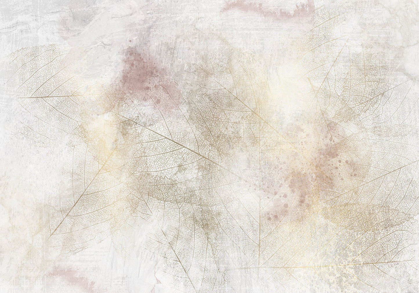 Wall Mural - Summer memory - abstract background with shadow of dried leaves