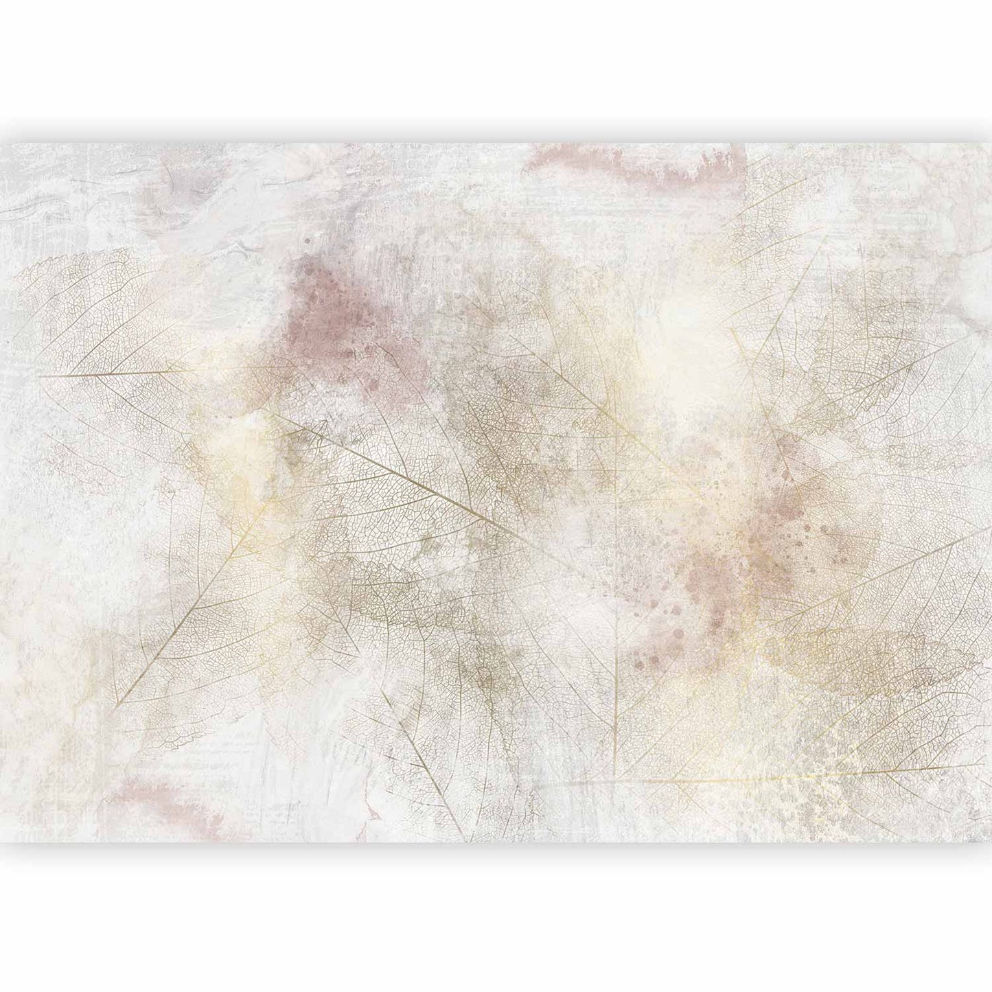Wall Mural - Summer memory - abstract background with shadow of dried leaves