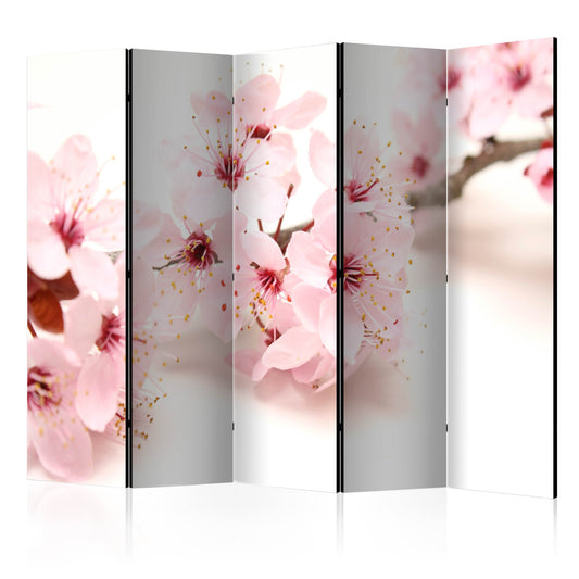 Room Divider - Cherry Blossom II