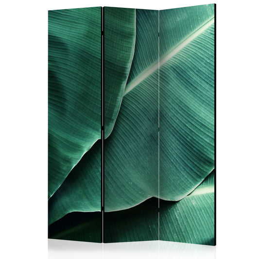 Room Divider - Banana Leaf