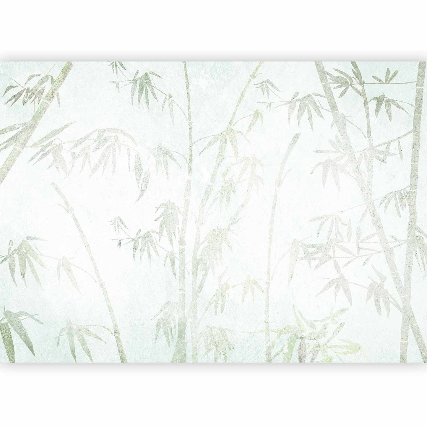 Wall Mural - Asian Jungle