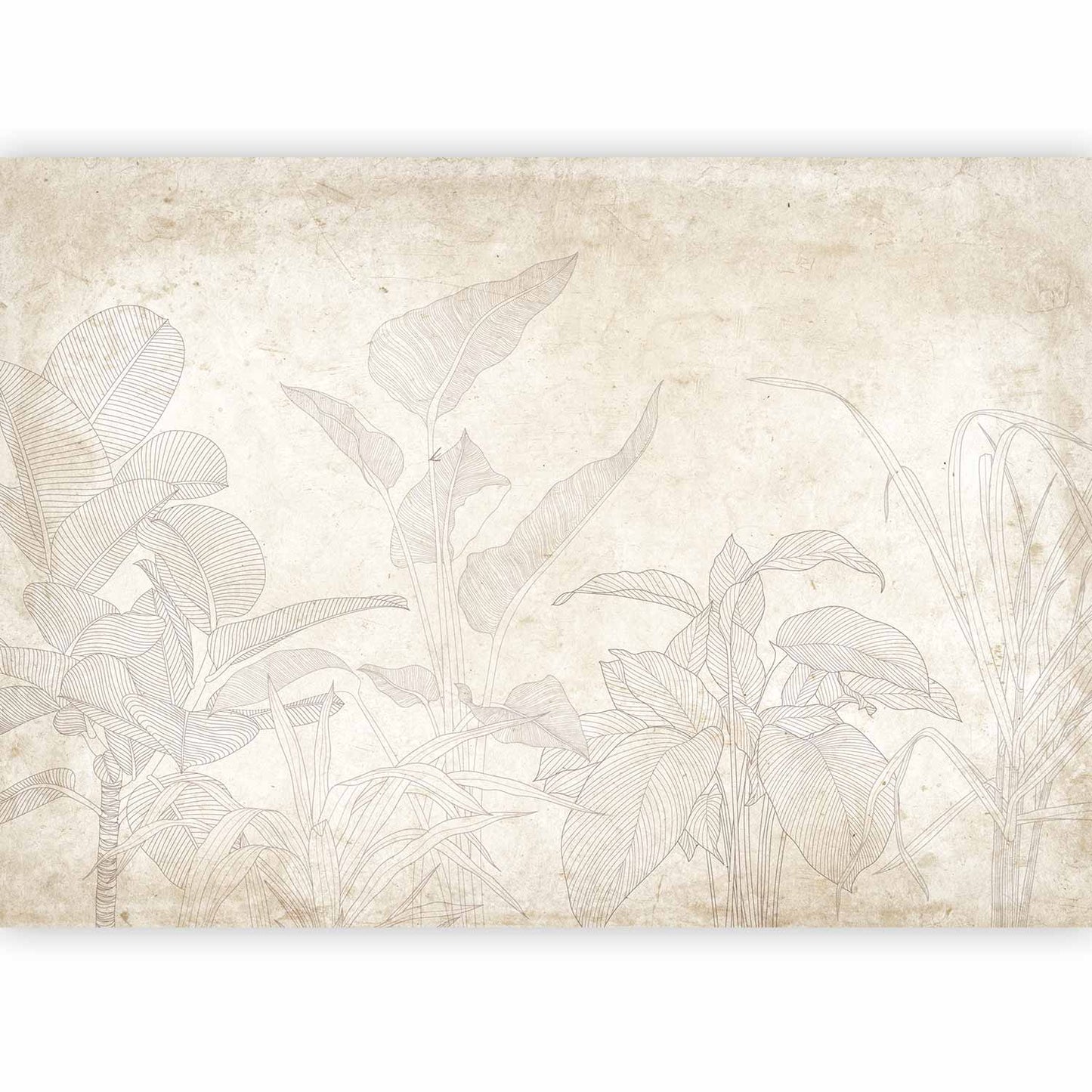 Wall Mural - Subtle Exotic Plants