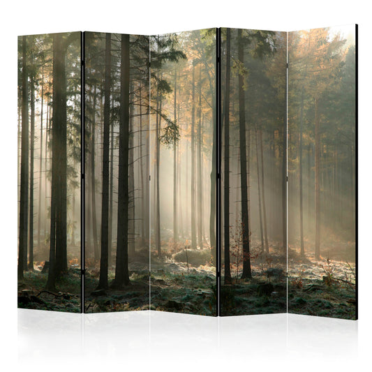 Room Divider - Foggy November morning II