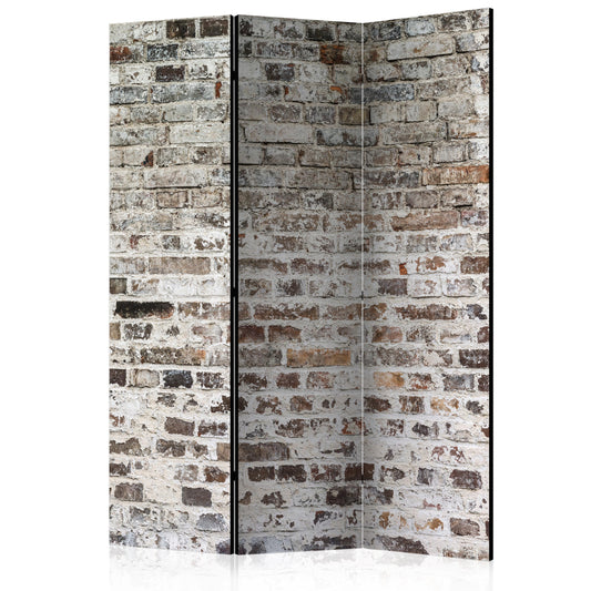 Room Divider - Old Walls