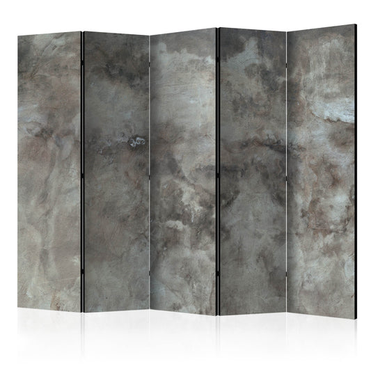 Room Divider - Hail Cloud II