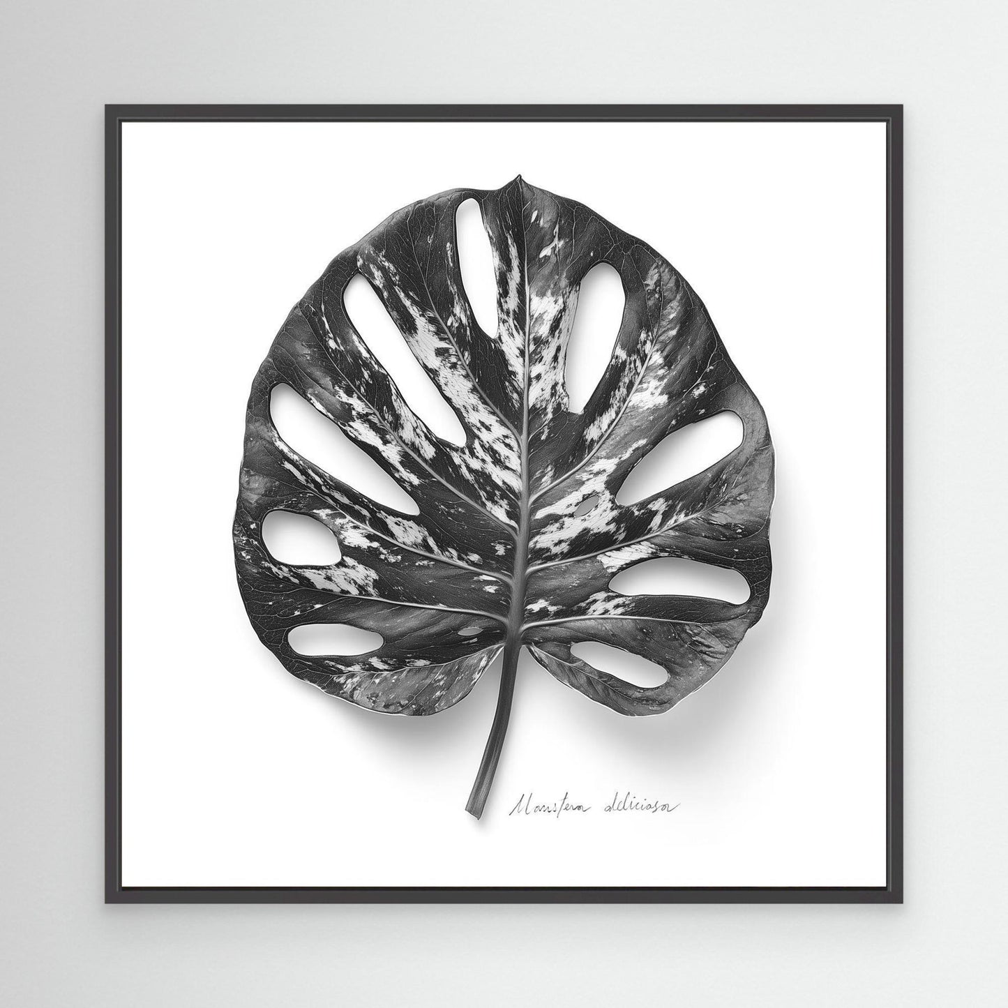 Tryptic part 3 Monstera deliciosa