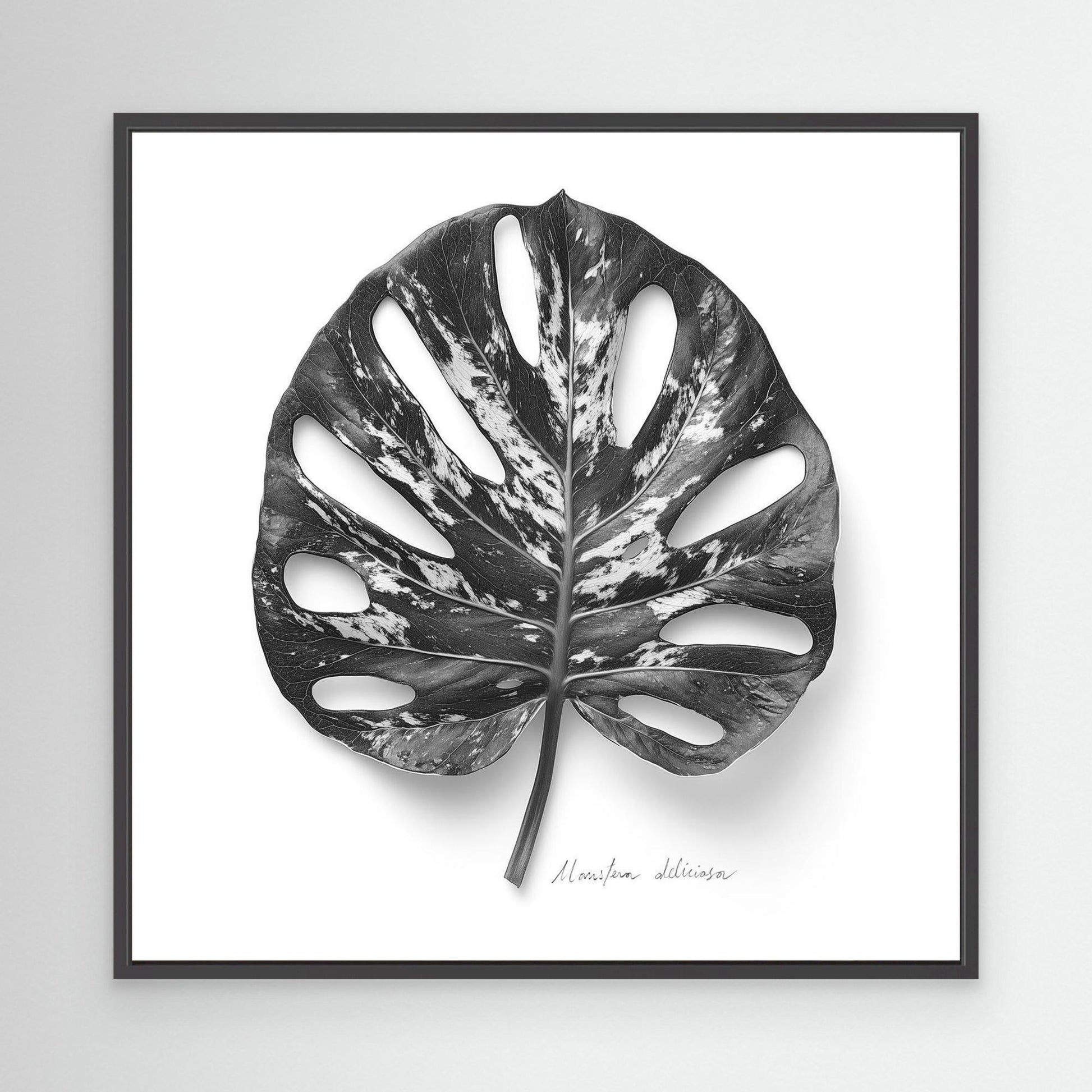 Tryptic part 3 Monstera deliciosa